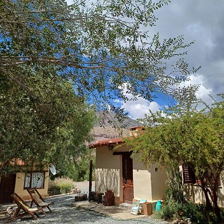 Cactus Y Almacen - Purmamarca Villa Eksteriør billede
