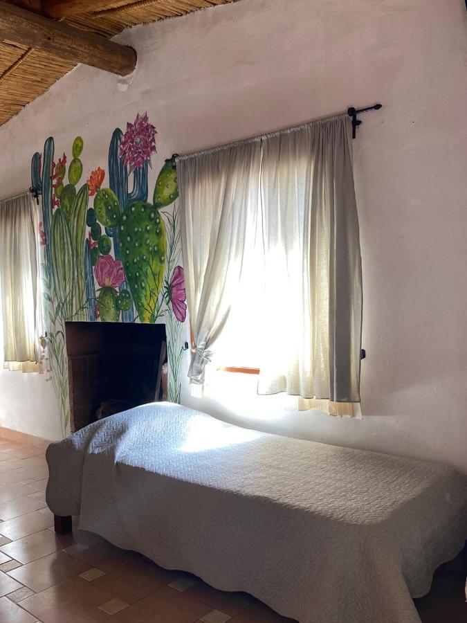 Cactus Y Almacen - Purmamarca Villa Eksteriør billede