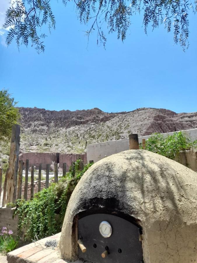 Cactus Y Almacen - Purmamarca Villa Eksteriør billede